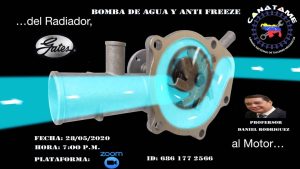 Lee más sobre el artículo Bomba de Agua y Anti Freeze